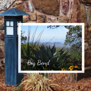 Postal Agave y Wildflowers, Parque Nacional Big Bend