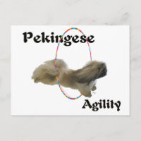 Agilidad de Pekín