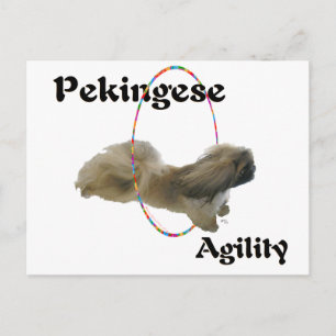 Postal Agilidad de Pekín
