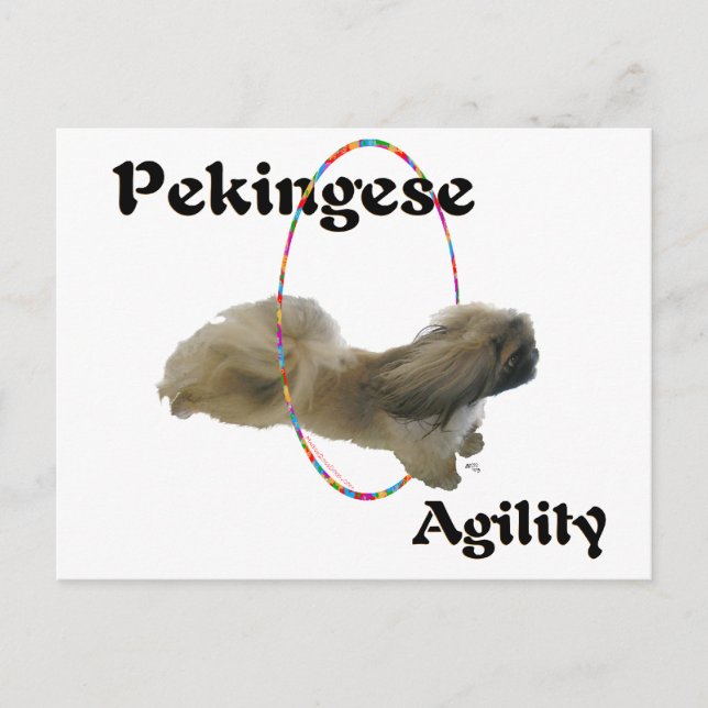 Postal Agilidad de Pekín (Anverso)