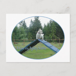 Postal Agilidad del Scottie Trigo