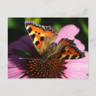 Postal Aglais urticae