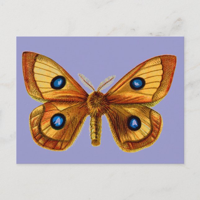 Postal Aglia Tau macho (Anverso)