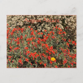Postal Agosto Ablaze Postcard