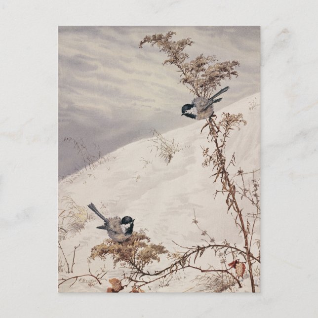 Postal Agosto | Fidelia Bridges (Anverso)