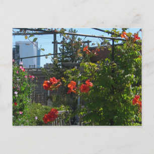 Postal Agosto Garden Postcard