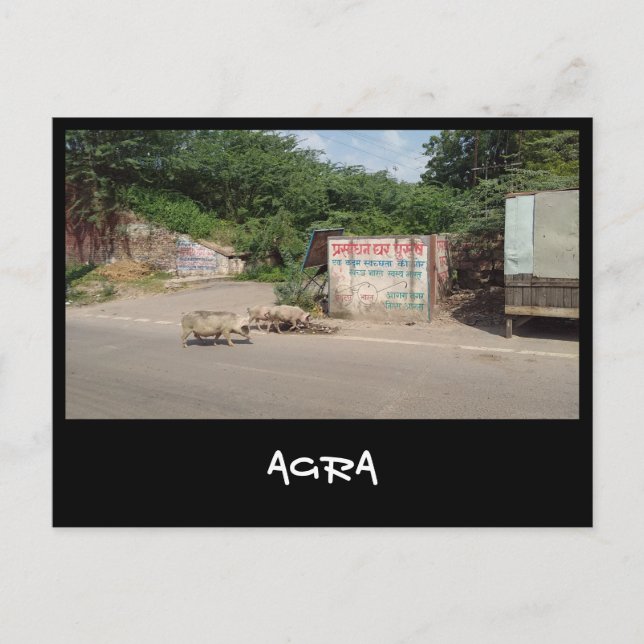 Postal Agra, Uttar Pradesh (India) (Anverso)