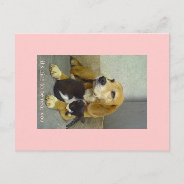 Postal agradable (Anverso)