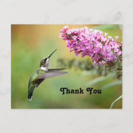 Postal Agradecimiento de foto floral de pájaro mosca de v