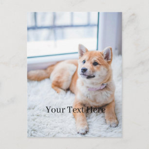 Postal Agrega tu foto y texto personalizado en 2 caras