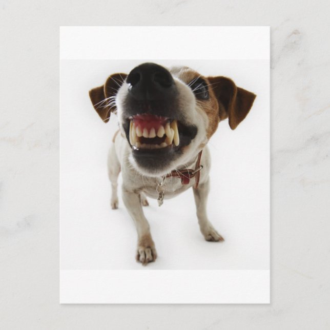 Postal agresivo (Anverso)