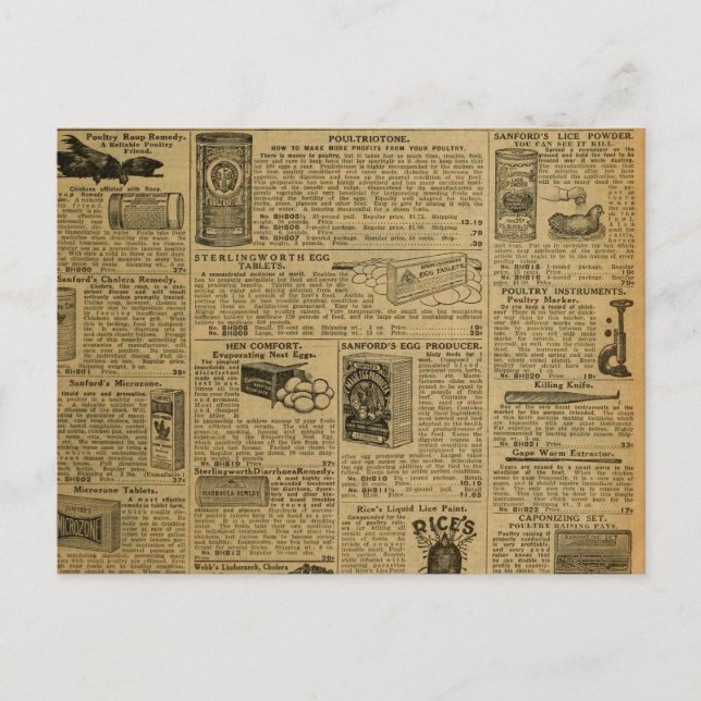 Postal Agricultor de pollo de periódico de publicidad de  (Anverso)