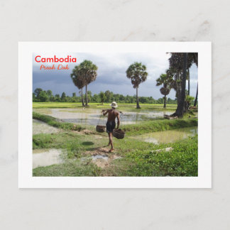 Postal Agricultor en su campo en Preah Dak