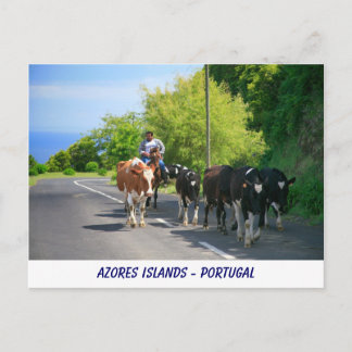 Postal Agricultores y vacas