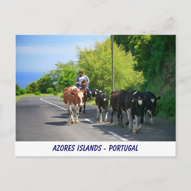 Postal Agricultores y vacas (Anverso)