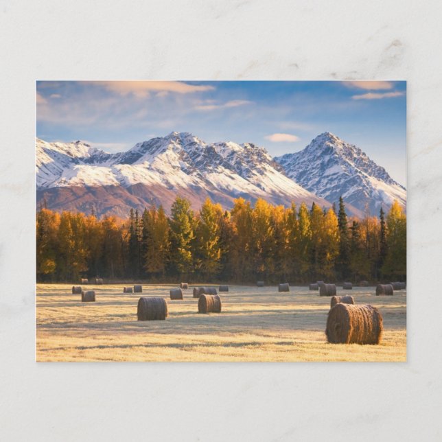 Postal Agricultura de Alaska (Anverso)