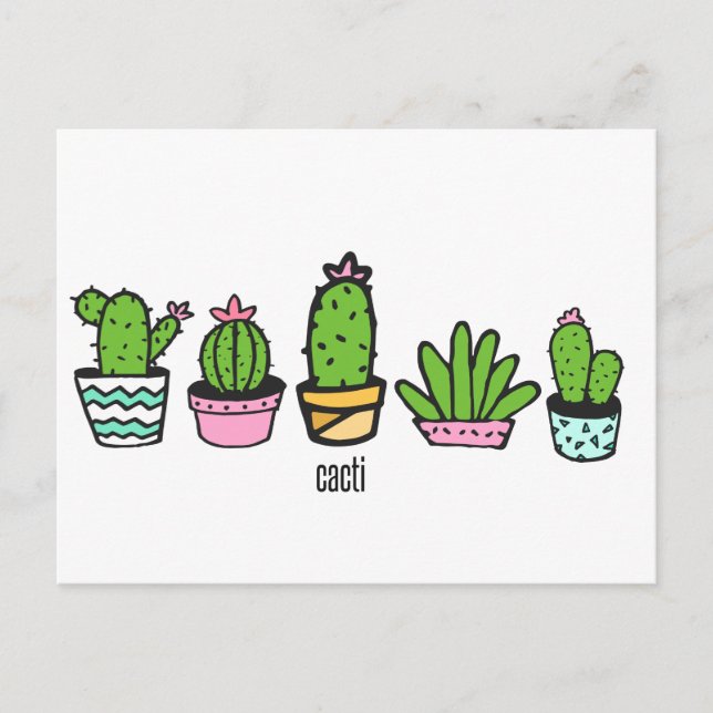 Postal agrupación de cactus (Anverso)