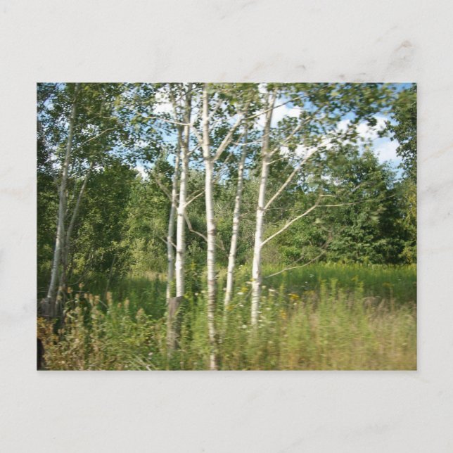 Postal agrupada (Anverso)