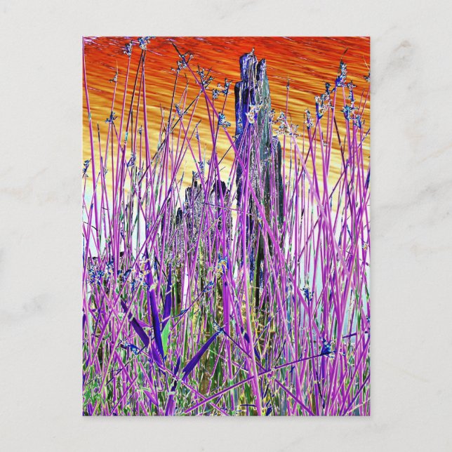 POSTAL AGUA (Anverso)