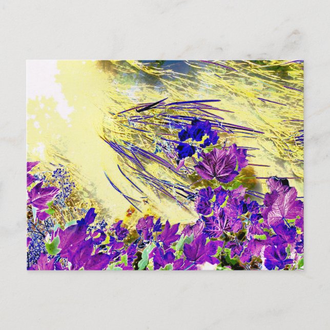 POSTAL AGUA (Anverso)