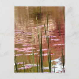 Postal Agua a través de cañas