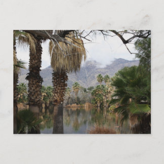 Postal Agua Caliente Park Tucson Az