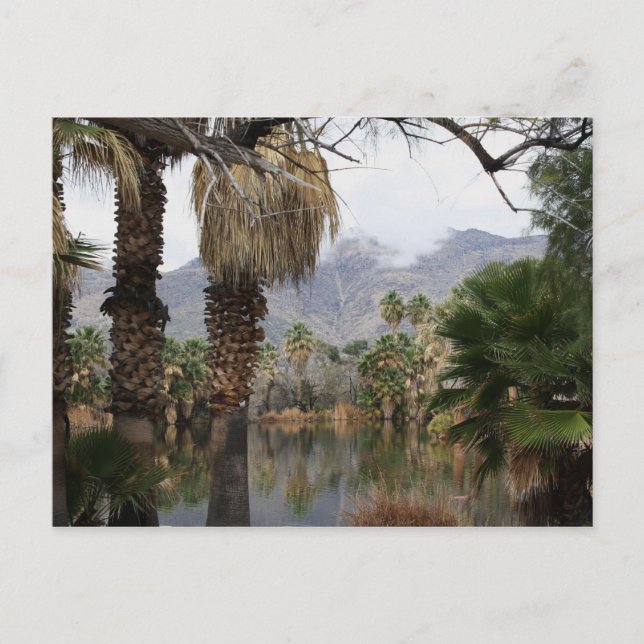 Postal Agua Caliente Park Tucson Az (Anverso)