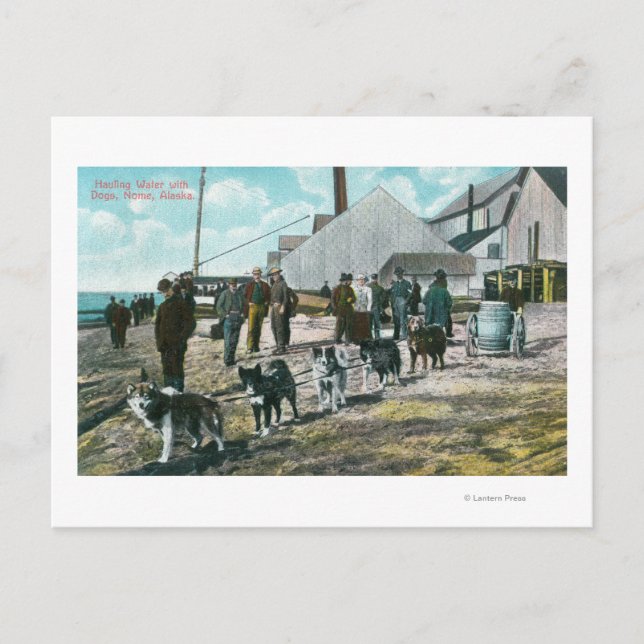 Postal Agua de Hauling con perrosNome, AK (Anverso)