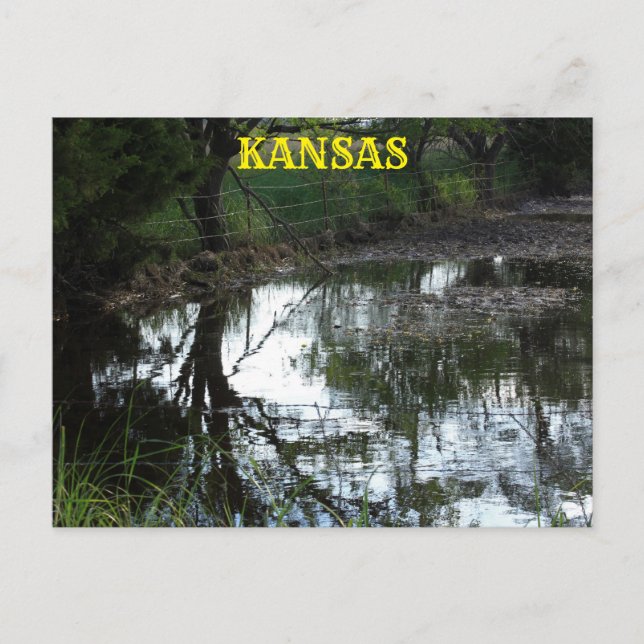 Postal Agua de Kansas inundada en una pastura postal. (Anverso)