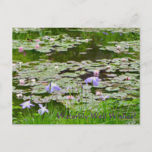 Postal ¡Agua, Deseos!