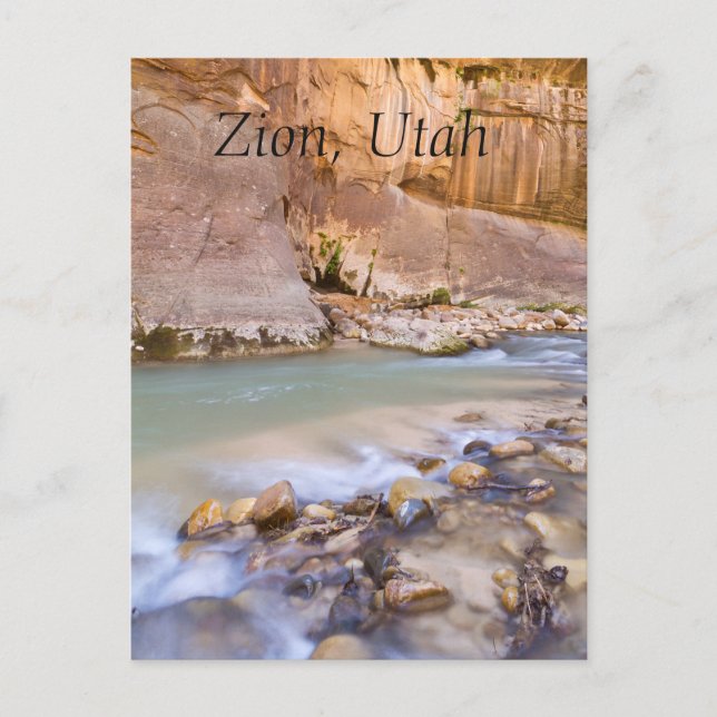 Postal Agua en las garras (Anverso)