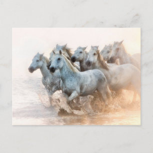 Postal Agua mediterránea al amanecer