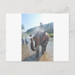 Postal Agua para pulverización de elefantes