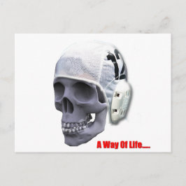 Postal agua-polo-cráneo