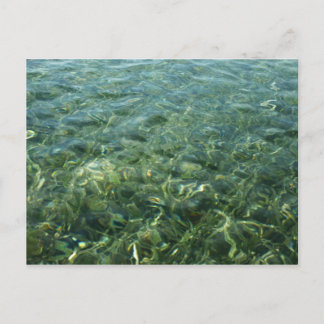 Postal Agua sobre hierba marina en la naturaleza caribeña