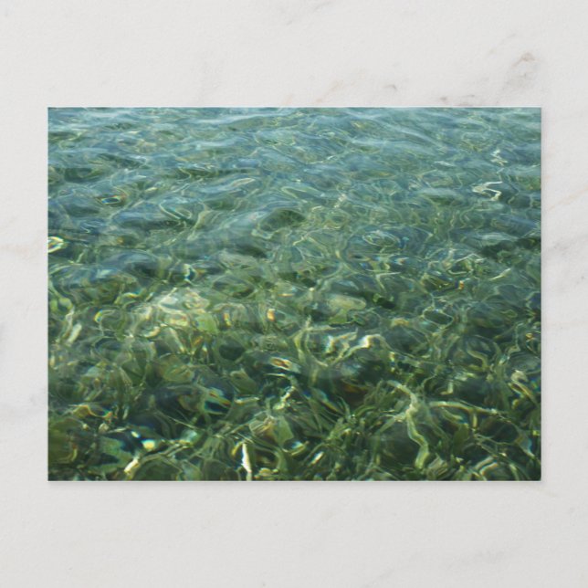 Postal Agua sobre hierba marina en la naturaleza caribeña (Anverso)
