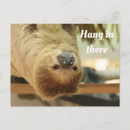Postal Aguanta, Sloth