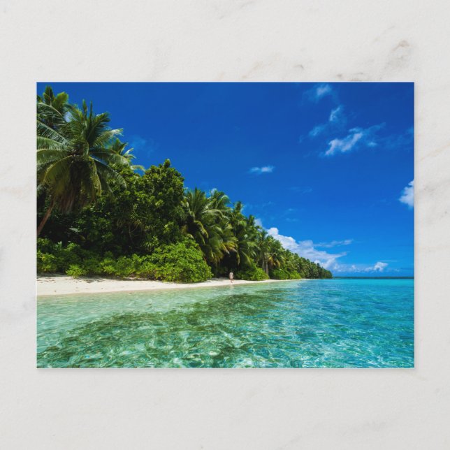 Postal Aguas Azules De Una Playa Tropical (Anverso)