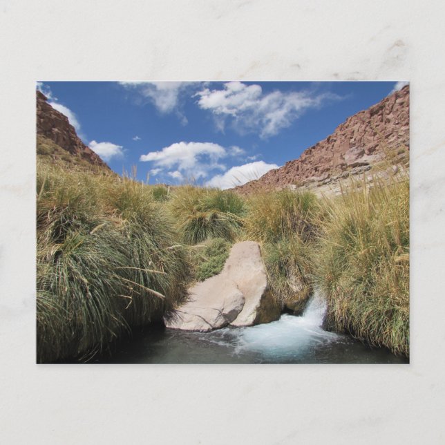 Postal Aguas termales de Puritama, desierto de Atacama, C (Anverso)