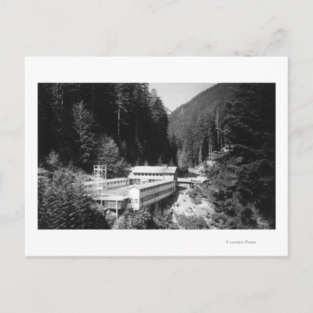 Postal Aguas termales olímpicas, WA Lodge View Photograph (Anverso)