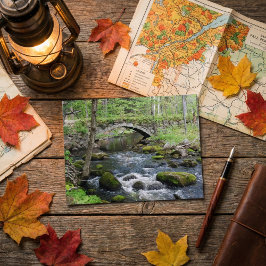 Postal Aguas tranquilas: Gleason cae Road Bridge