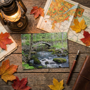 Postal Aguas tranquilas: Gleason cae Road Bridge