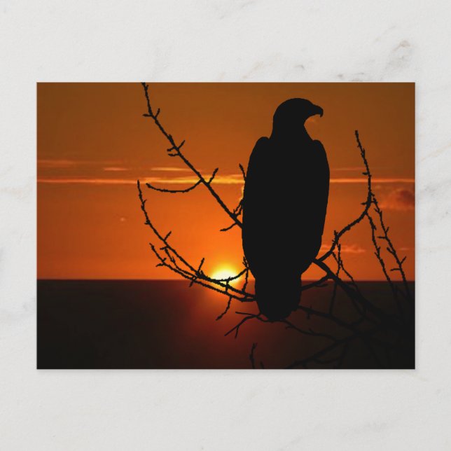 Postal Águila (Anverso)