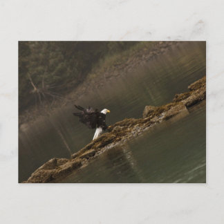 Postal Águila