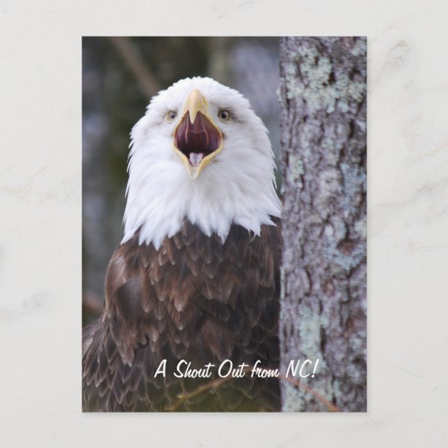 Postal Águila (Anverso)