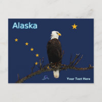 Águila Alaska Y Bandera