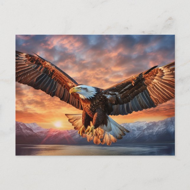 Postal Águila americana (Anverso)