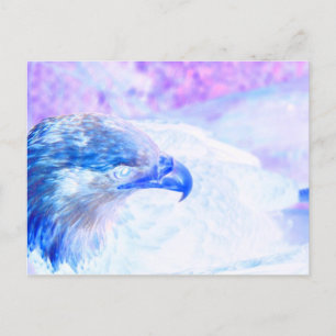 Postal águila azul pálido frente a la derecha