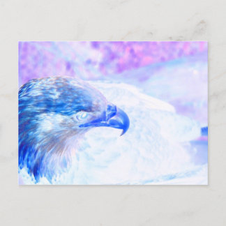 Postal águila azul pálido frente a la derecha