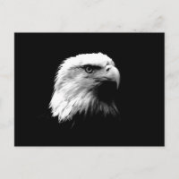 Águila blanca y negra